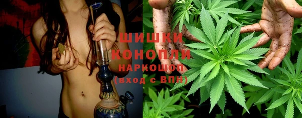 СК Михайлов