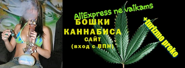 шишки Соликамск